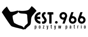 EST.966 - Koszulki z fajnymi nadrukami - sklep internetowy